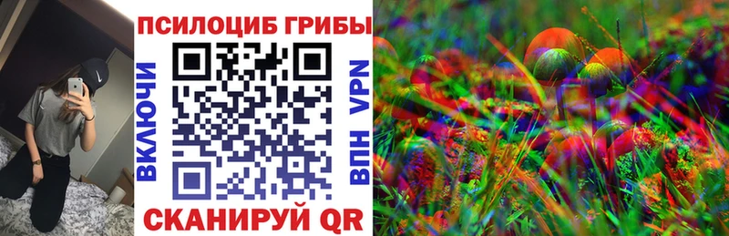 дарнет шоп  Заводоуковск  Псилоцибиновые грибы GOLDEN TEACHER 